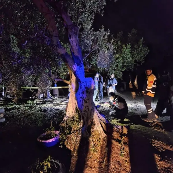 Bağ Evinde Kan Donduran Cinayet! Bursa'da Balta İle Öldürüldü