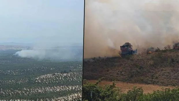 Balıkesir ve Bursa'da Korkutan Yangın! Alevler Kontrol Altında mı?