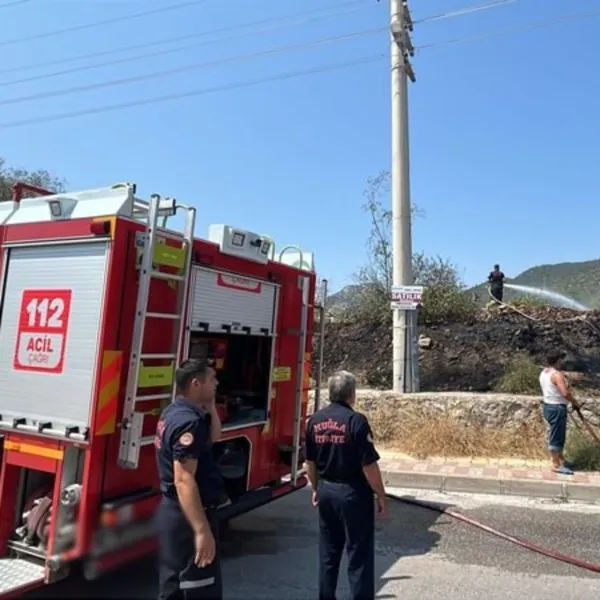 Bodrum'da Yangın Paniği! Otluk Alan Alevlere Teslim Oldu