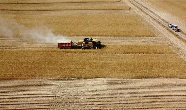 Çiftçilere 1,1 milyar liralık tarımsal destekleme ödemesi bugün yapılacak