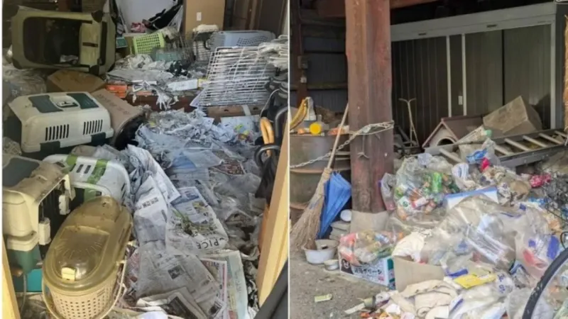 Evden 100'den fazla ölü kedi çıktı