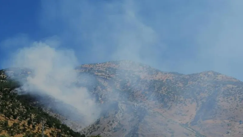 Kahramanmaraş'ta Korkutan Yangın! Ormanlar Alevlere Teslim Mi?