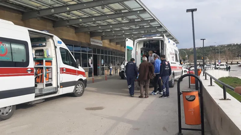 Muğla'da Köpek Saldırısı: Küçük Çocuk Parkta Yaralandı!