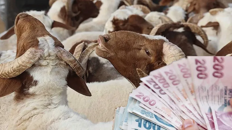 Emekli Bayram İkramiyesi Ne Zaman Yatacak? Zam Var Mı? ŞOK İddia!