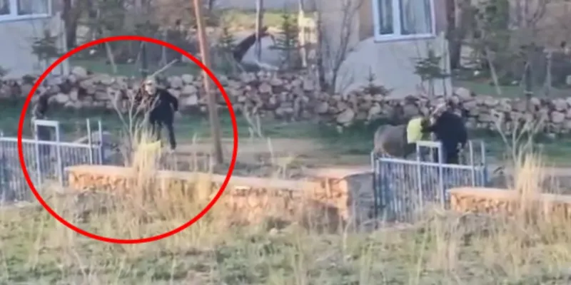 Sivas'ta Yaşlı Adam Eşeğe İşkence! Vicdanlar Susacak mı?