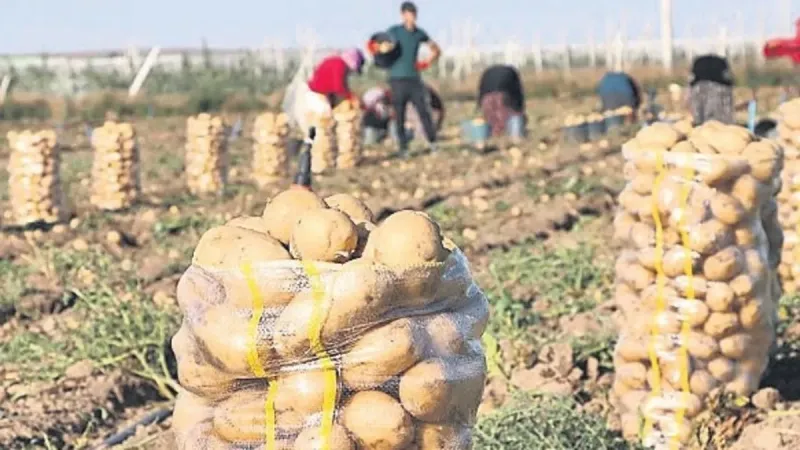 Öğrencilerin bursu topraktan geliyor
