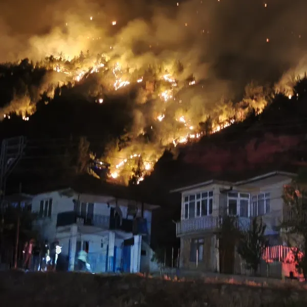 Orman yangınlarında son durum! 