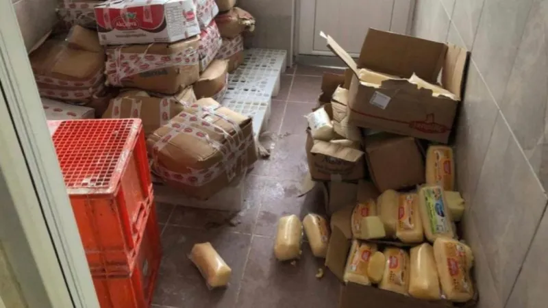 Sakarya'da tarihi geçmiş 5 ton kaşar peyniri ele geçirildi