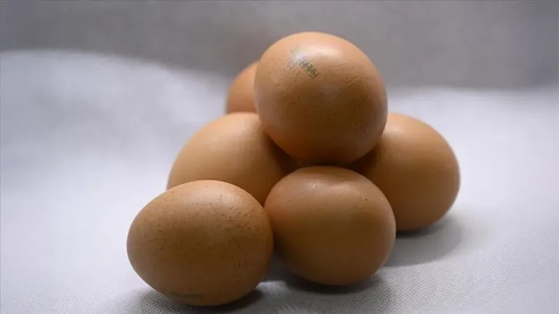 Yumurta İhracatında Şok Gelişme! Fon Kesintisi Kalktı mı?