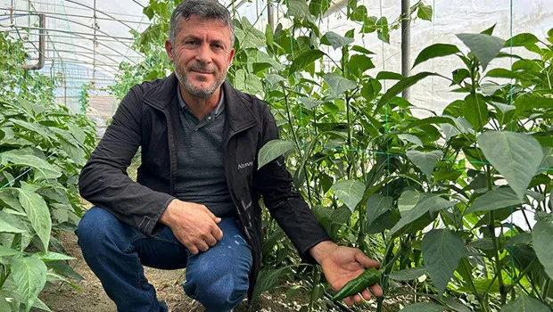 Türkiye'nin en acı biberi: Çiftçiler hasat hazırlığına başladı