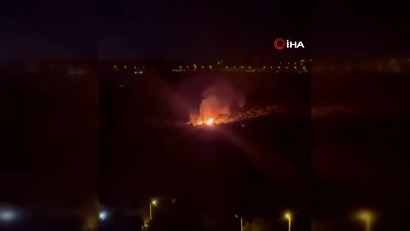 Zeytinlikten yükselen alevler geceyi aydınlattı
